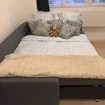 Apartament Confort Au Mont-dore & Animaux Admis