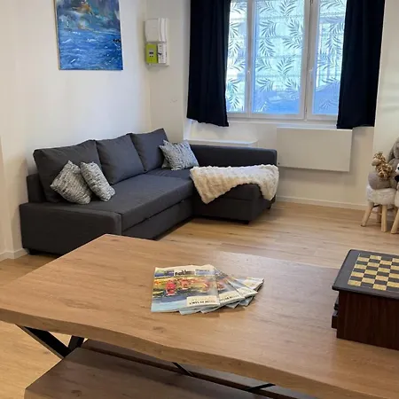 Confort Au Mont-dore & Animaux Admis * Le Mont-Dore