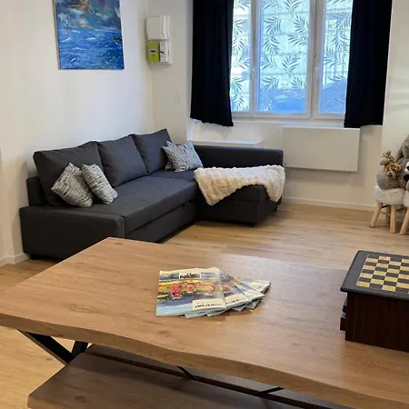 Apartman Confort Au Mont-dore & Animaux Admis *