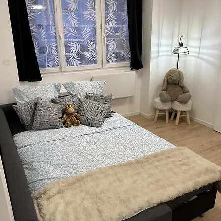 Confort Au Mont-dore & Animaux Admis * Le Mont-Dore