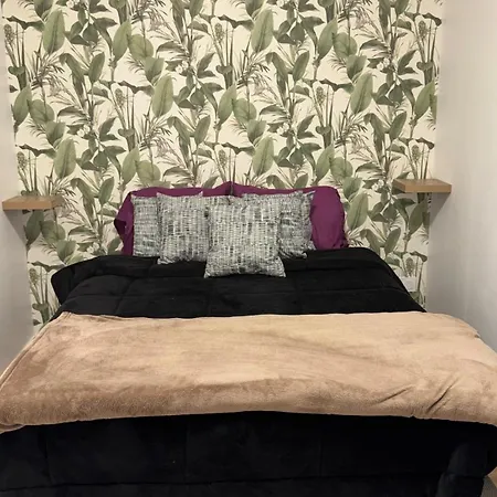 Confort Au Mont-dore & Animaux Admis Le Mont-Dore