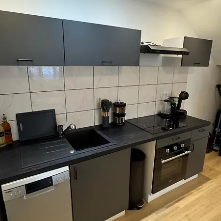 Confort Au Mont-dore & Animaux Admis Apartman