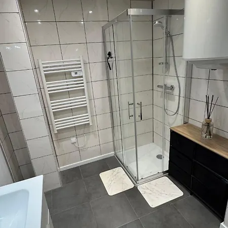 Confort Au Mont-dore Linges Inclus &animaux Admis *