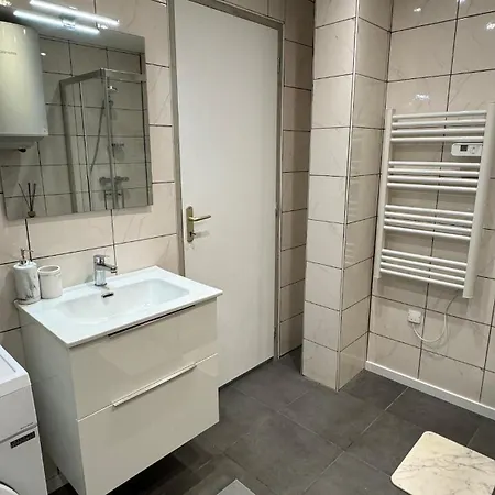 Apartment Confort Au Mont-dore & Animaux Admis