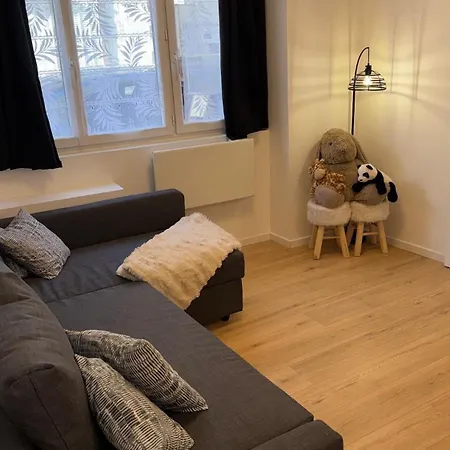 Confort Au Mont-dore Linges Inclus &animaux Admis *