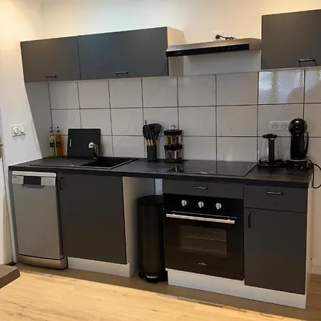 Confort Au Mont-dore Linges Inclus &animaux Admis