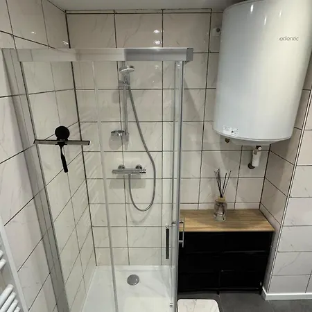 Confort Au Mont-dore Linges Inclus &animaux Admis *