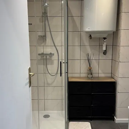 Confort Au Mont-dore Linges Inclus &animaux Admis Apartment *