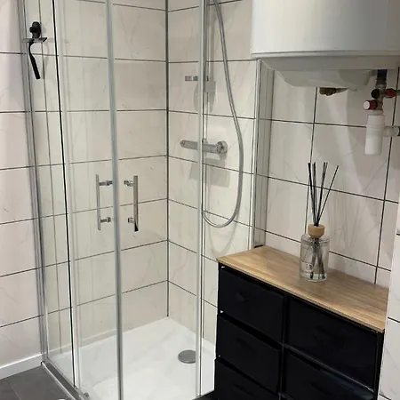 Confort Au Mont-dore & Animaux Admis Apartment Le Mont-Dore