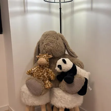 Confort Au Mont-dore & Animaux Admis * Le Mont-Dore
