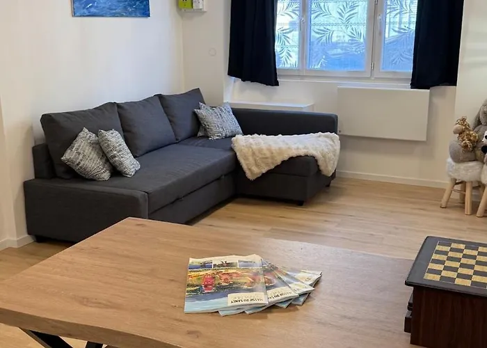 Confort Au Mont-dore Linges Inclus &animaux Admis * Le Mont-Dore