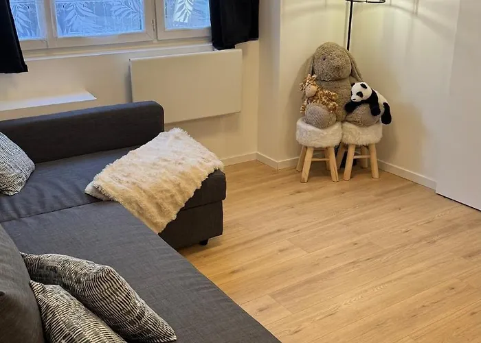 Confort Au Mont-dore Linges Inclus &animaux Admis Le Mont-Dore