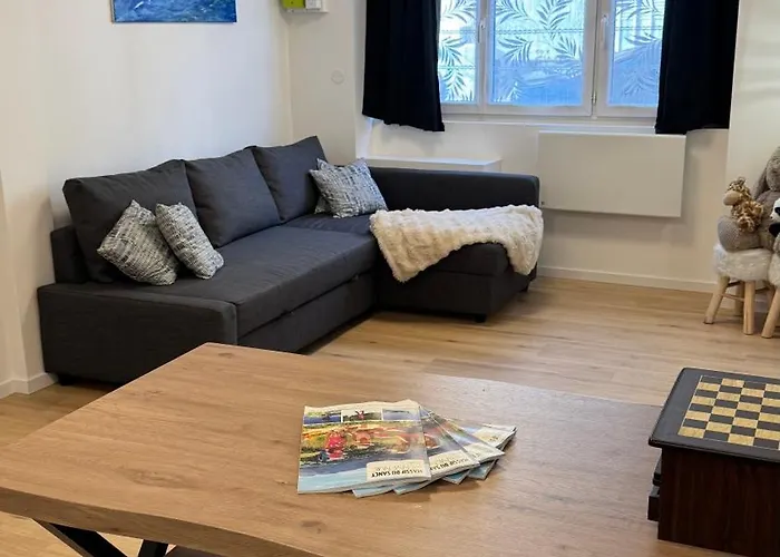 Apartman Confort Au Mont-dore & Animaux Admis *