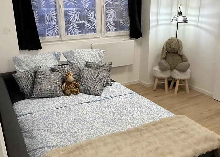 Confort Au Mont-dore Linges Inclus &animaux Admis * Le Mont-Dore