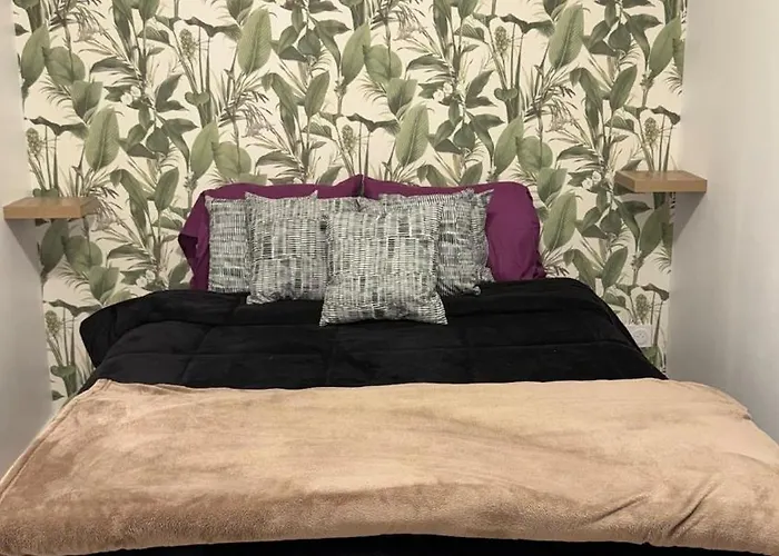 Confort Au Mont-dore & Animaux Admis Le Mont-Dore