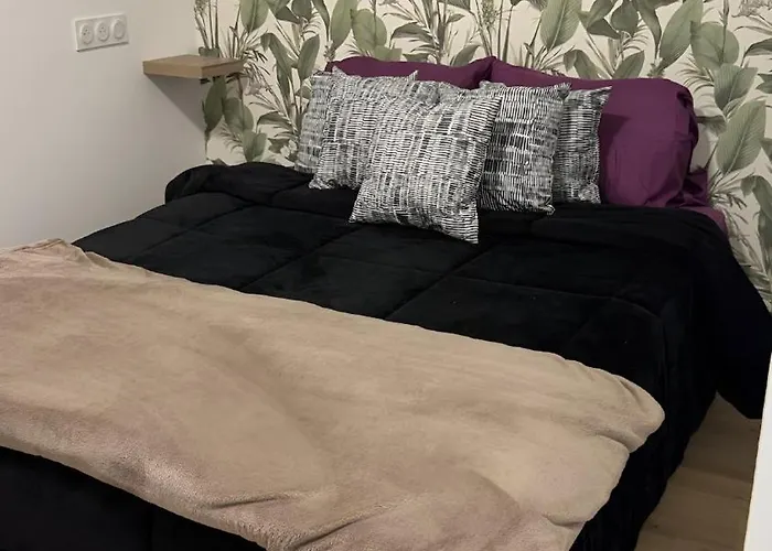 Confort Au Mont-dore & Animaux Admis Apartman