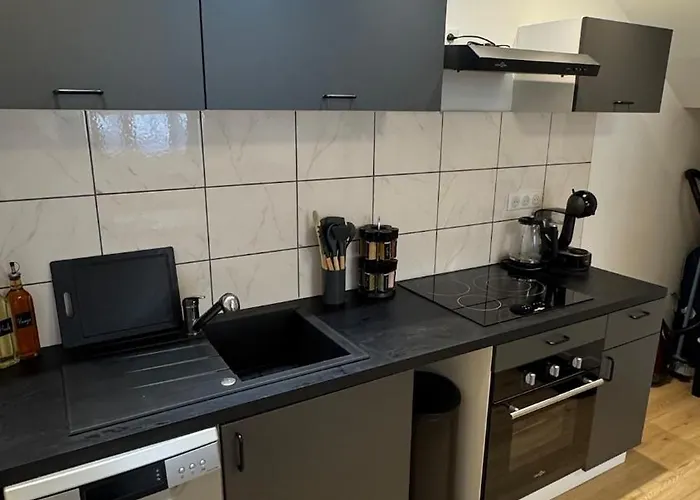 Confort Au Mont-dore & Animaux Admis Apartman