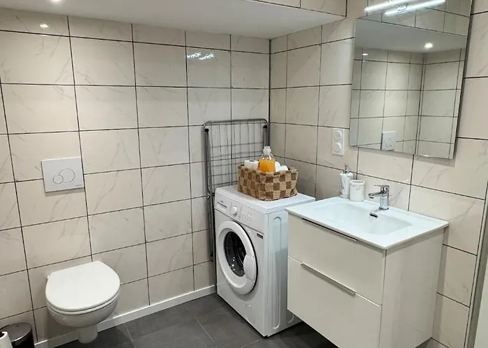 Confort Au Mont-dore Linges Inclus &animaux Admis Apartment Le Mont-Dore