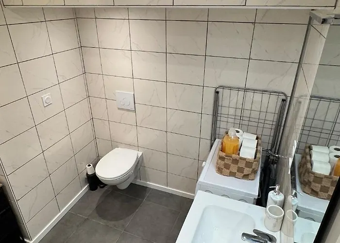 Confort Au Mont-dore Linges Inclus &animaux Admis *