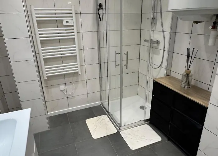 Apartman Confort Au Mont-dore & Animaux Admis