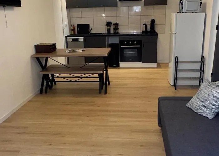 Confort Au Mont-dore & Animaux Admis