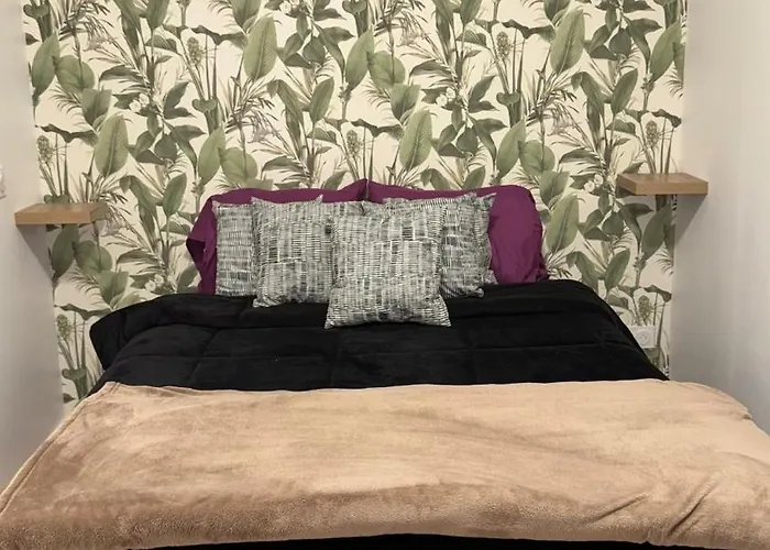 Confort Au Mont-dore Linges Inclus &animaux Admis Apartment *