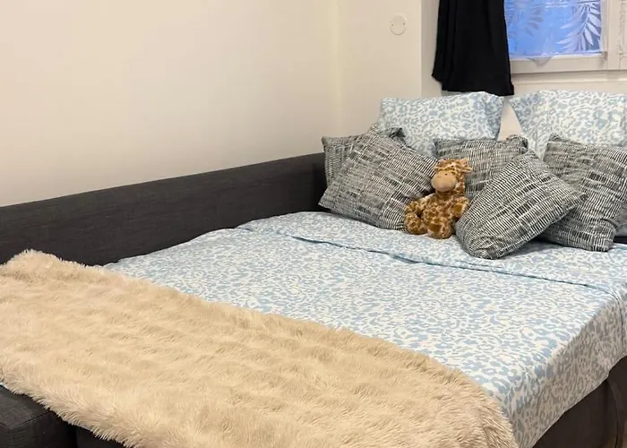 Apartman Confort Au Mont-dore & Animaux Admis *