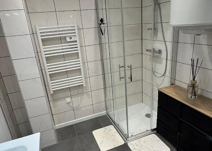 Confort Au Mont-dore & Animaux Admis *