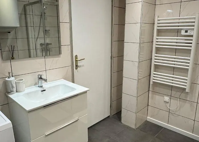 Apartment Confort Au Mont-dore Linges Inclus &animaux Admis