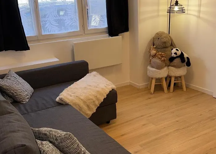 Confort Au Mont-dore & Animaux Admis *