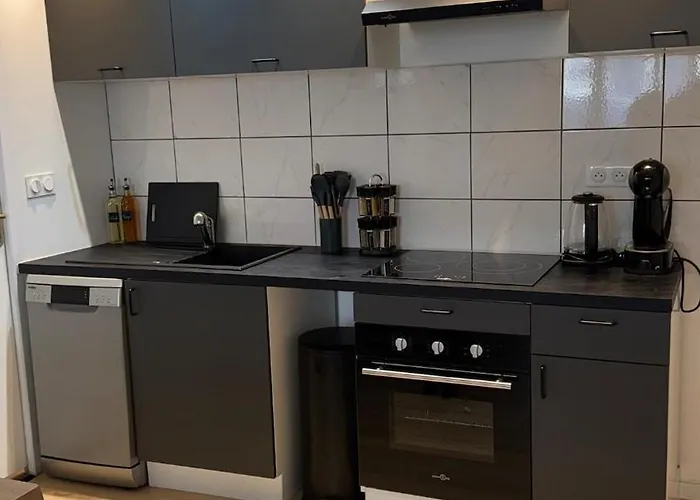 Confort Au Mont-dore Linges Inclus &animaux Admis