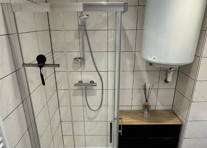 Confort Au Mont-dore Linges Inclus &animaux Admis *