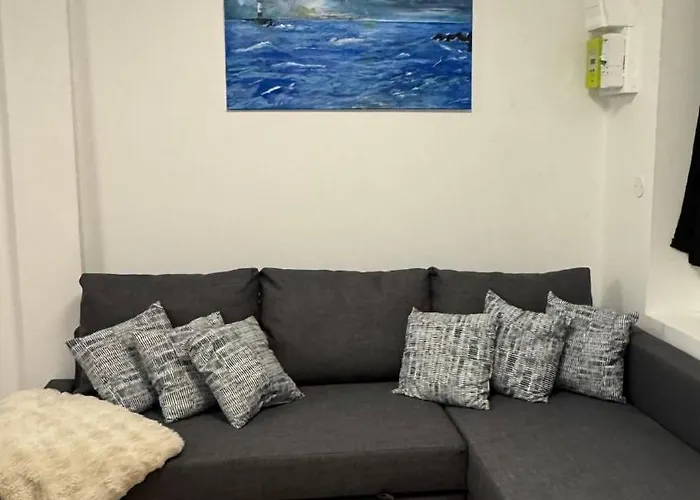 Confort Au Mont-dore Linges Inclus &animaux Admis * Le Mont-Dore