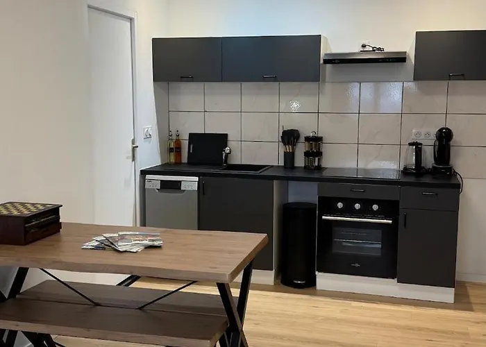 Confort Au Mont-dore & Animaux Admis * Le Mont-Dore