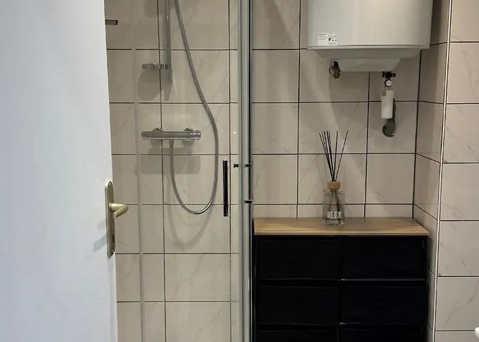 Confort Au Mont-dore Linges Inclus &animaux Admis Apartment *