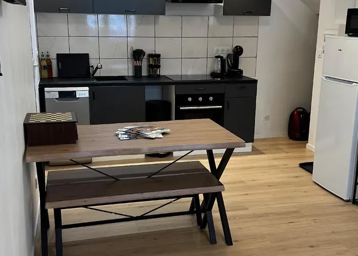 Confort Au Mont-dore Linges Inclus &animaux Admis Le Mont-Dore