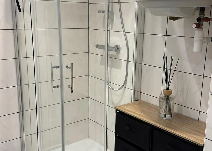 Confort Au Mont-dore Linges Inclus &animaux Admis Apartment Le Mont-Dore